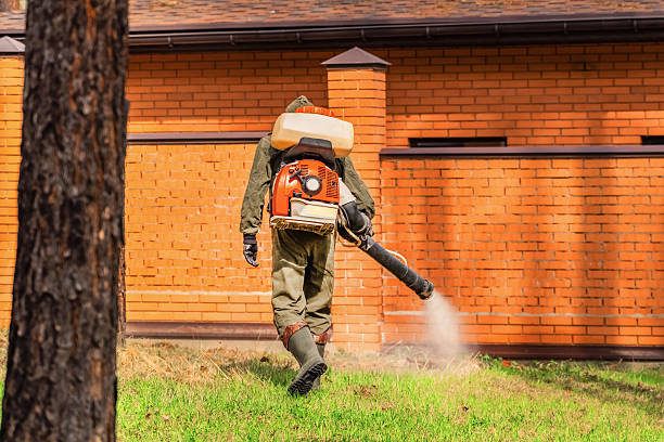 Bed Bug Clearance Verification and Documentation in Longboat Key